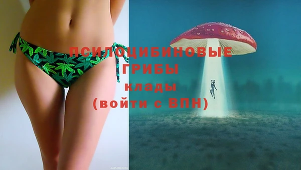 круглые Алзамай