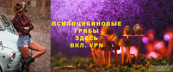 круглые Алзамай