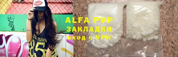 стафф Алексин