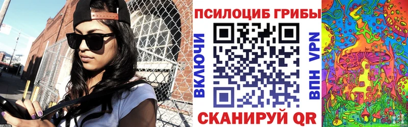 Галлюциногенные грибы Psilocybe  Шелехов 